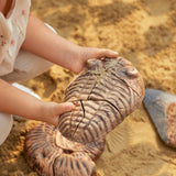 Magnetic Fossil 3D Puzzle - Trilobite