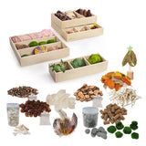 Loose Parts Nature Play Set - Educating Kids