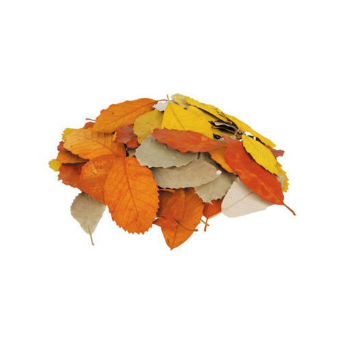 Loose Parts Nature Play Set - Educating Kids