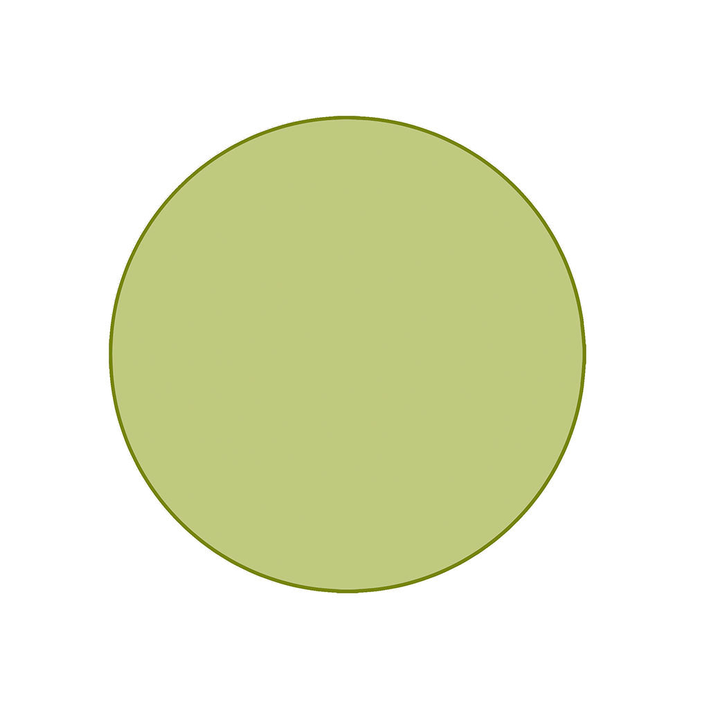 Sense of Place Round Carpet - Light Green