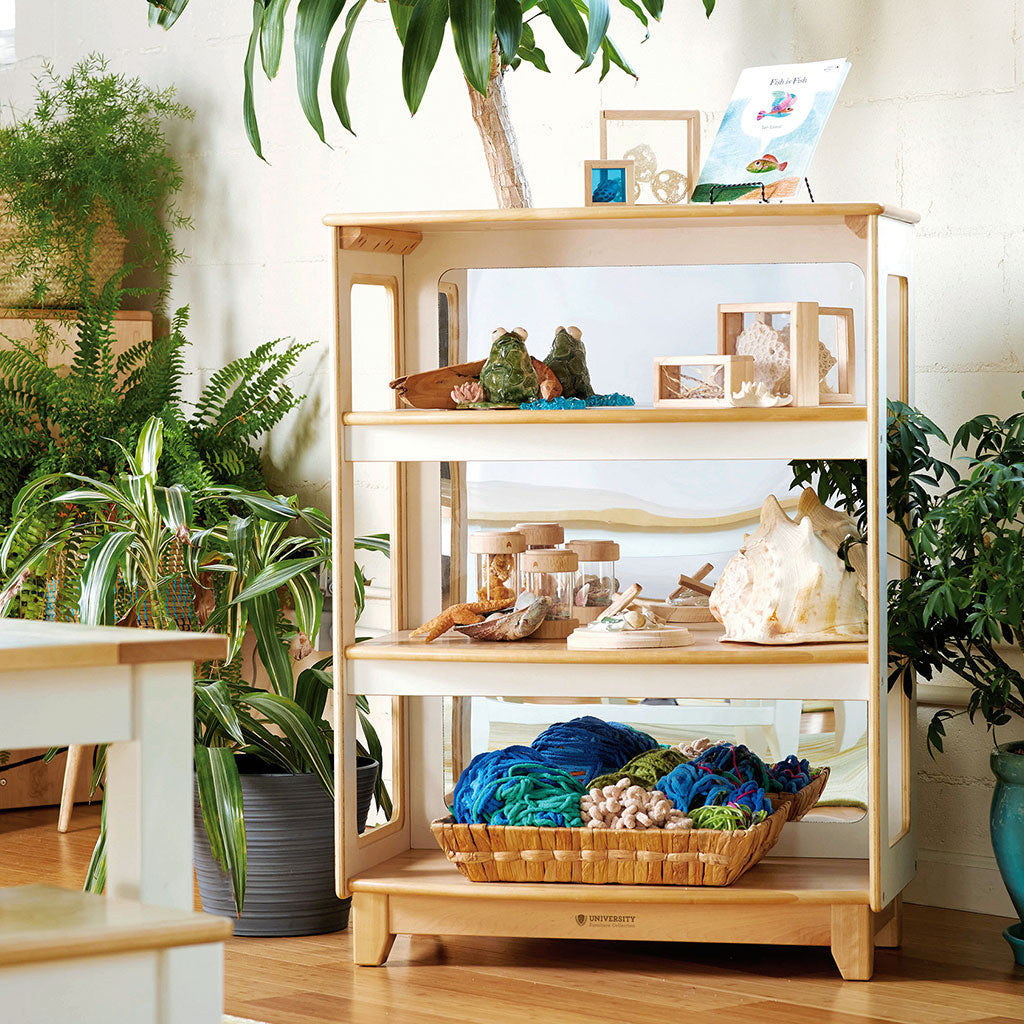 Sense of Place Curio Storage