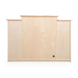 Sense of Place Fireplace