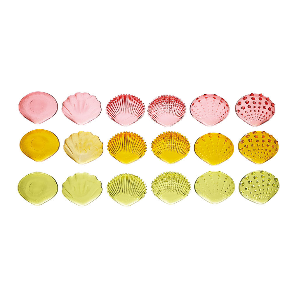 Translucent Tactile Shells 5.4cm - 36pc