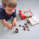 282-15205_tactile-shells-36pc_07_large.jpg