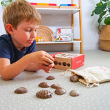 Tactile Shells - 36pc