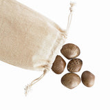 282-15205_tactile-shells-36pc_09_large.jpg