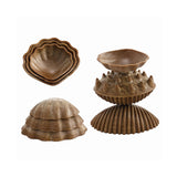 Tactile Shells - 36pc