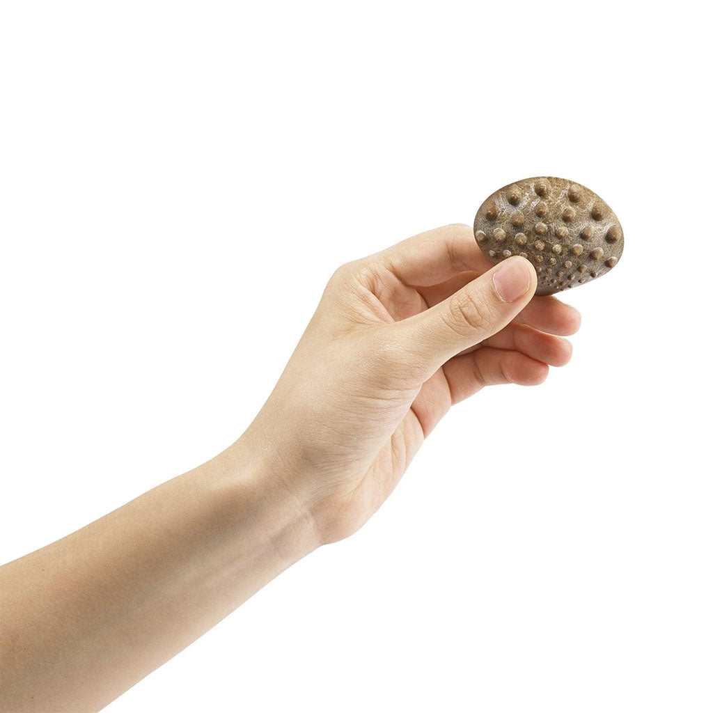 282-15205_tactile-shells-36pc_11_large.jpg