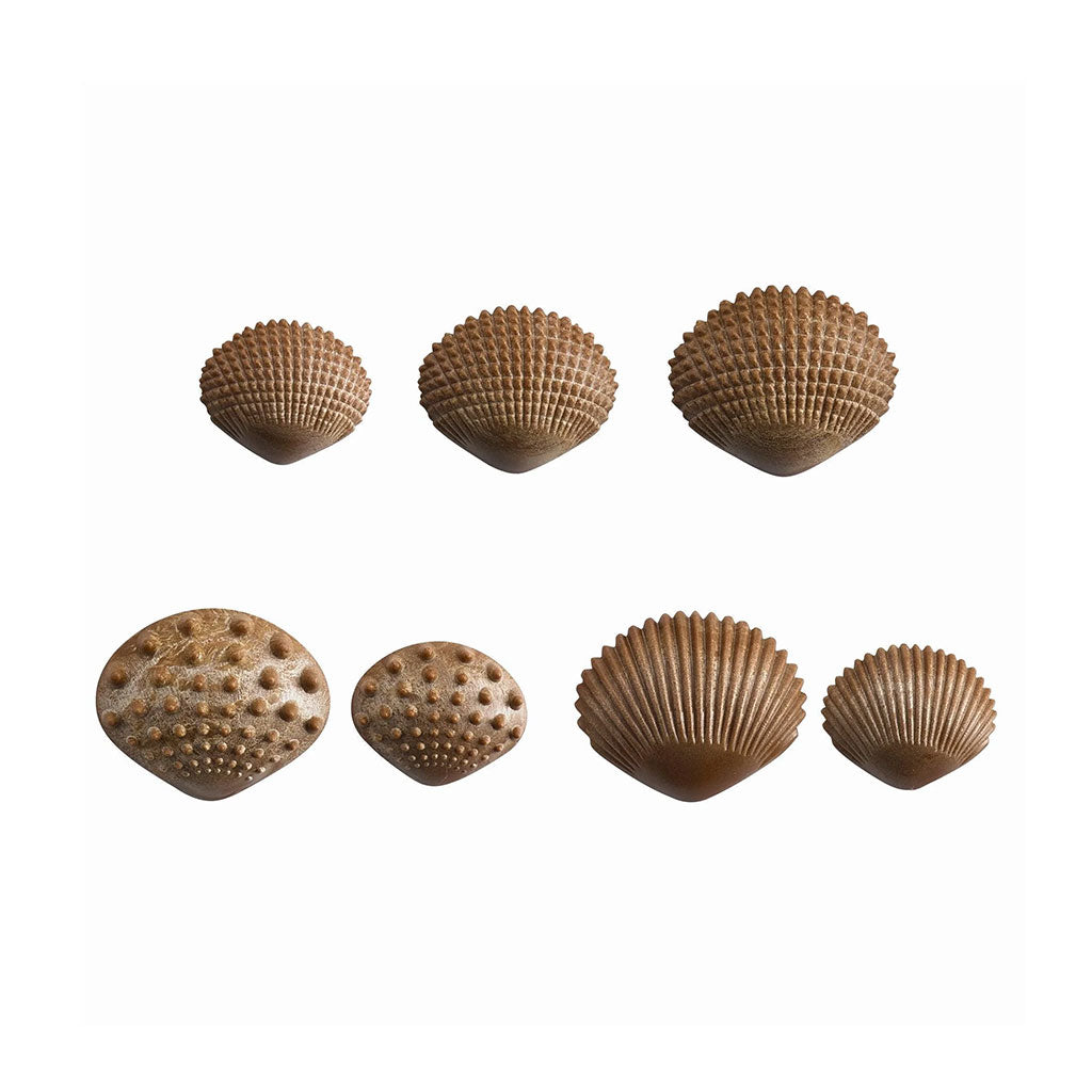 Tactile Shells - 36pc