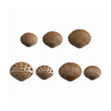 282-15205_tactile-shells-36pc_12_large.jpg