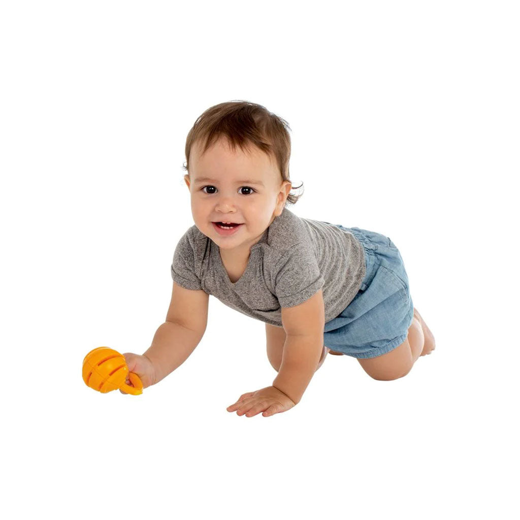 Halilit - Tropical Cage Bell - Pack of 14