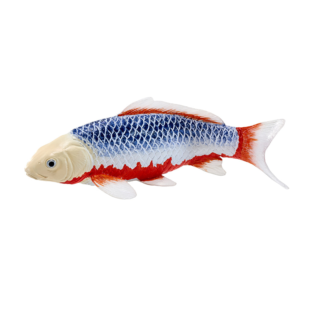 302-MOJ381100 Mojo - Asagi Koi Carp_01.jpg