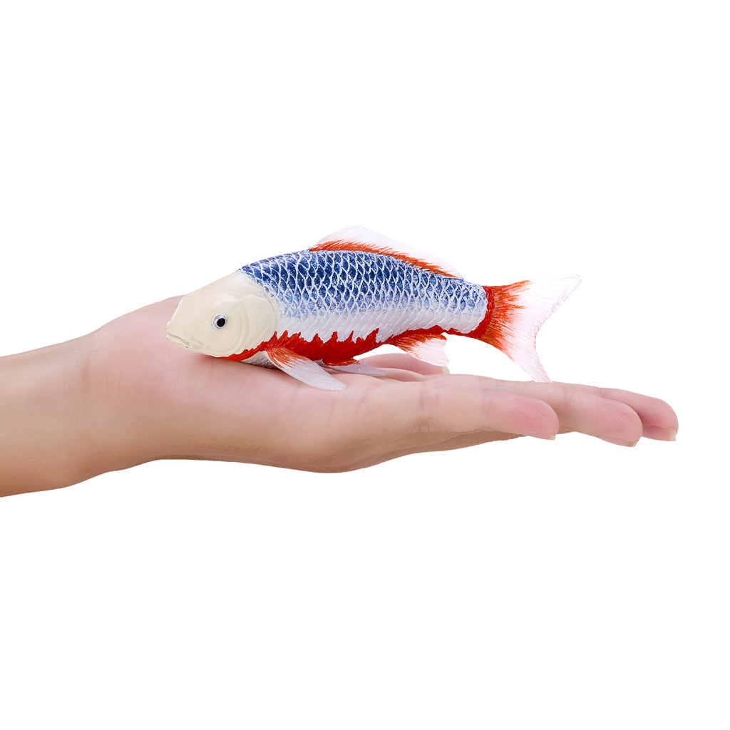 302-MOJ381100 Mojo - Asagi Koi Carp_04.jpg