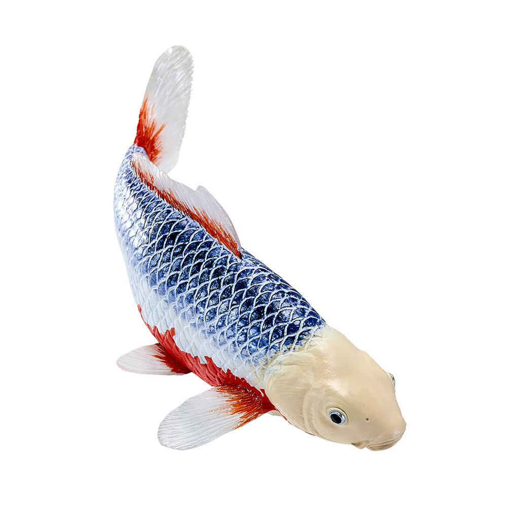 302-MOJ381100 Mojo - Asagi Koi Carp_05.jpg