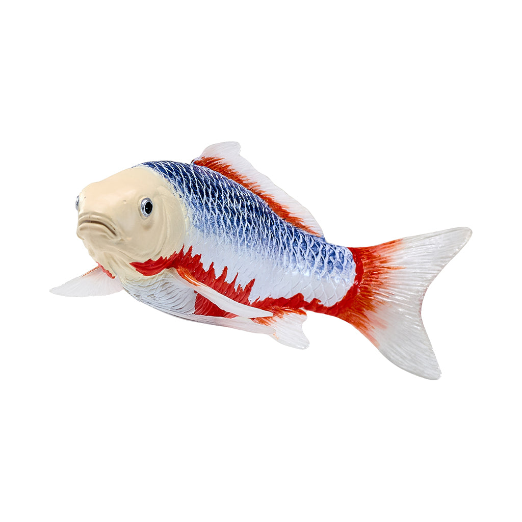 302-MOJ381100 Mojo - Asagi Koi Carp_06.jpg
