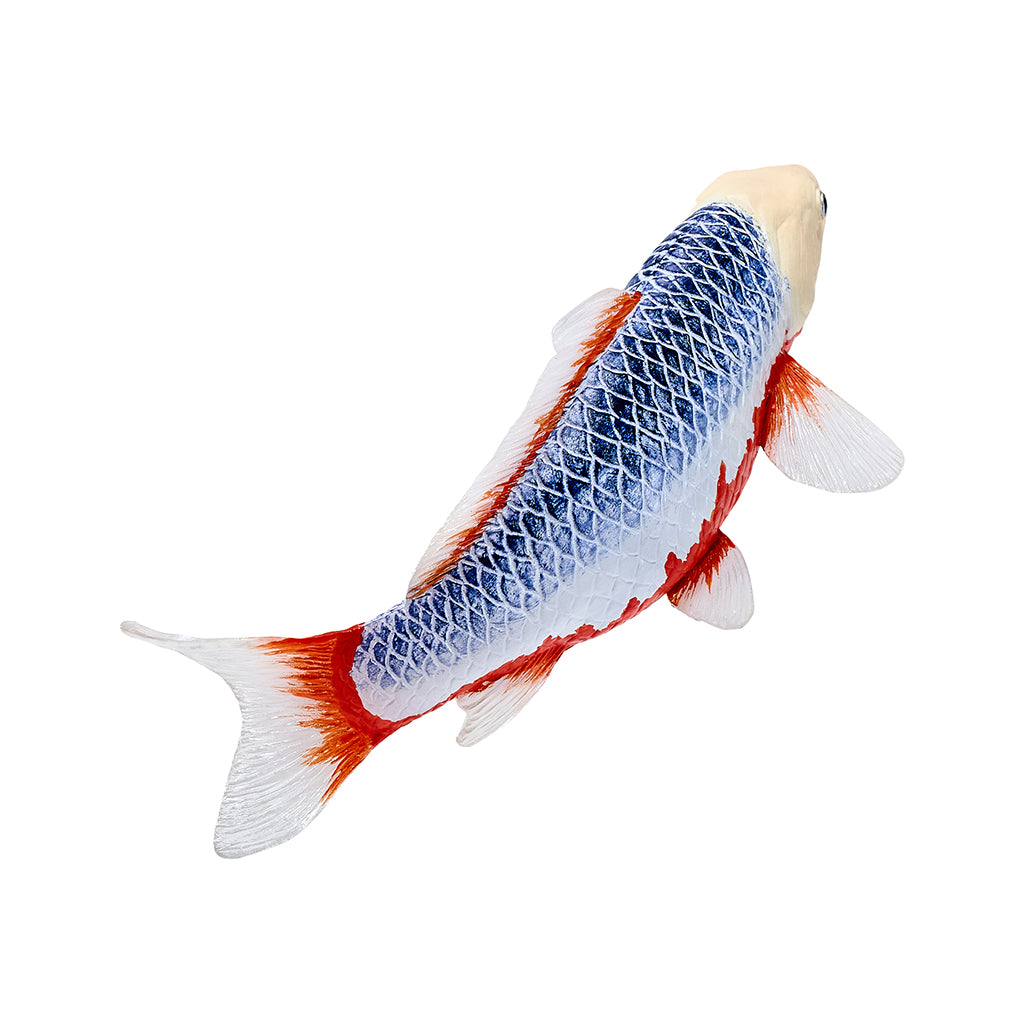 302-MOJ381100 Mojo - Asagi Koi Carp_08.jpg