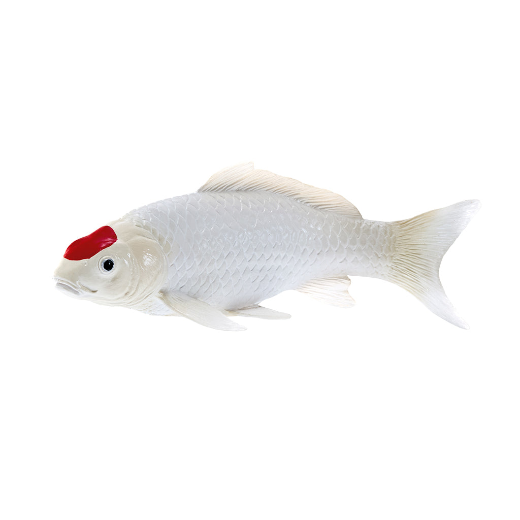 302-MOJ381101 Mojo - Tancho Koi Carp_01.jpg
