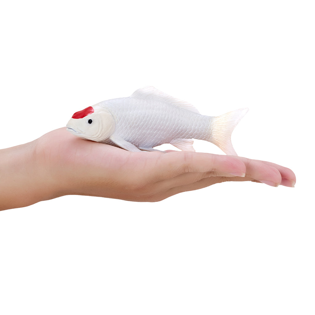 302-MOJ381101 Mojo - Tancho Koi Carp_02.jpg