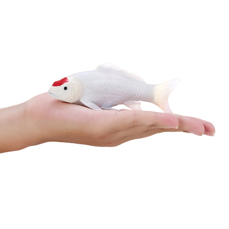 302-MOJ381101 Mojo - Tancho Koi Carp_02.jpg