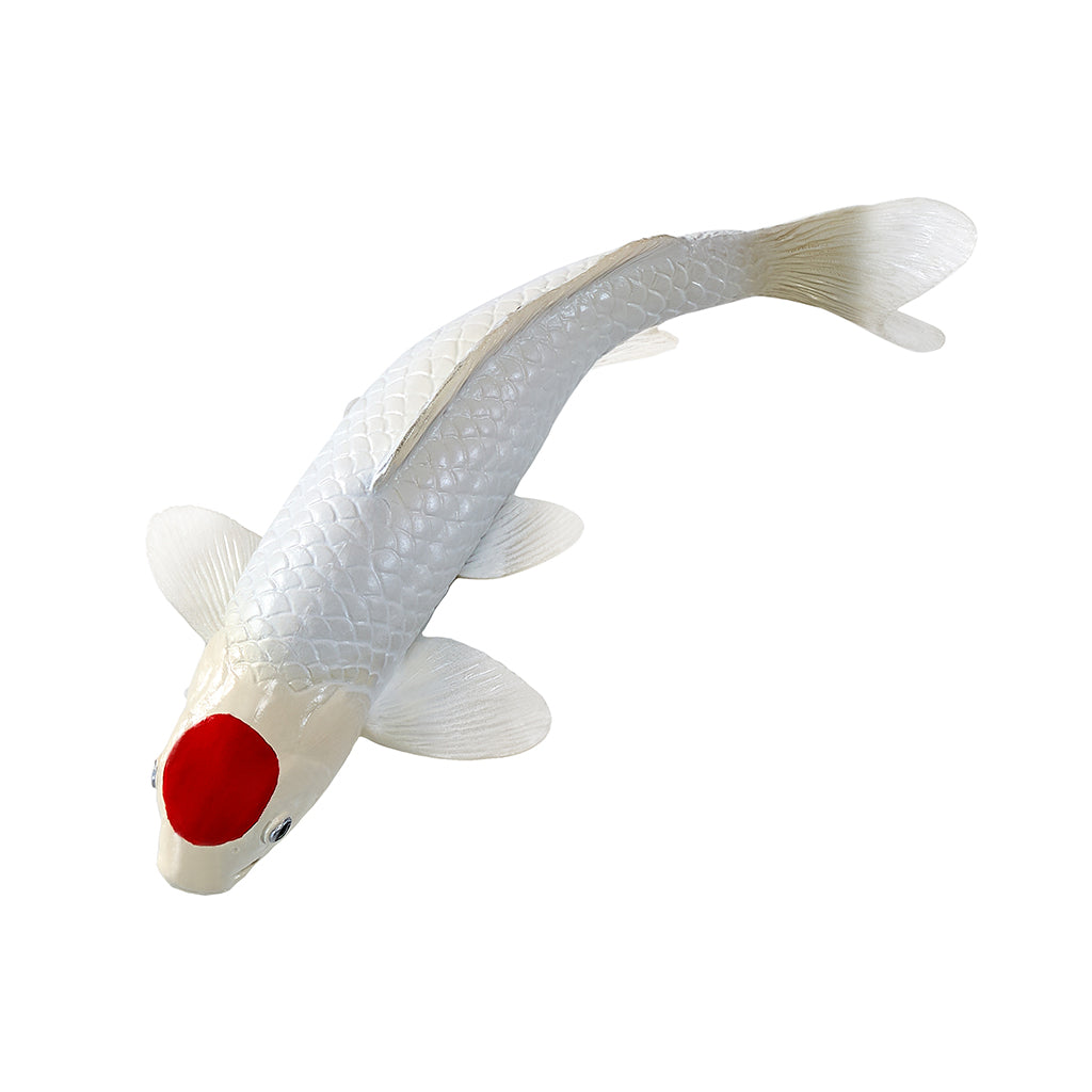 302-MOJ381101 Mojo - Tancho Koi Carp_05.jpg
