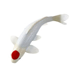 302-MOJ381101 Mojo - Tancho Koi Carp_05.jpg