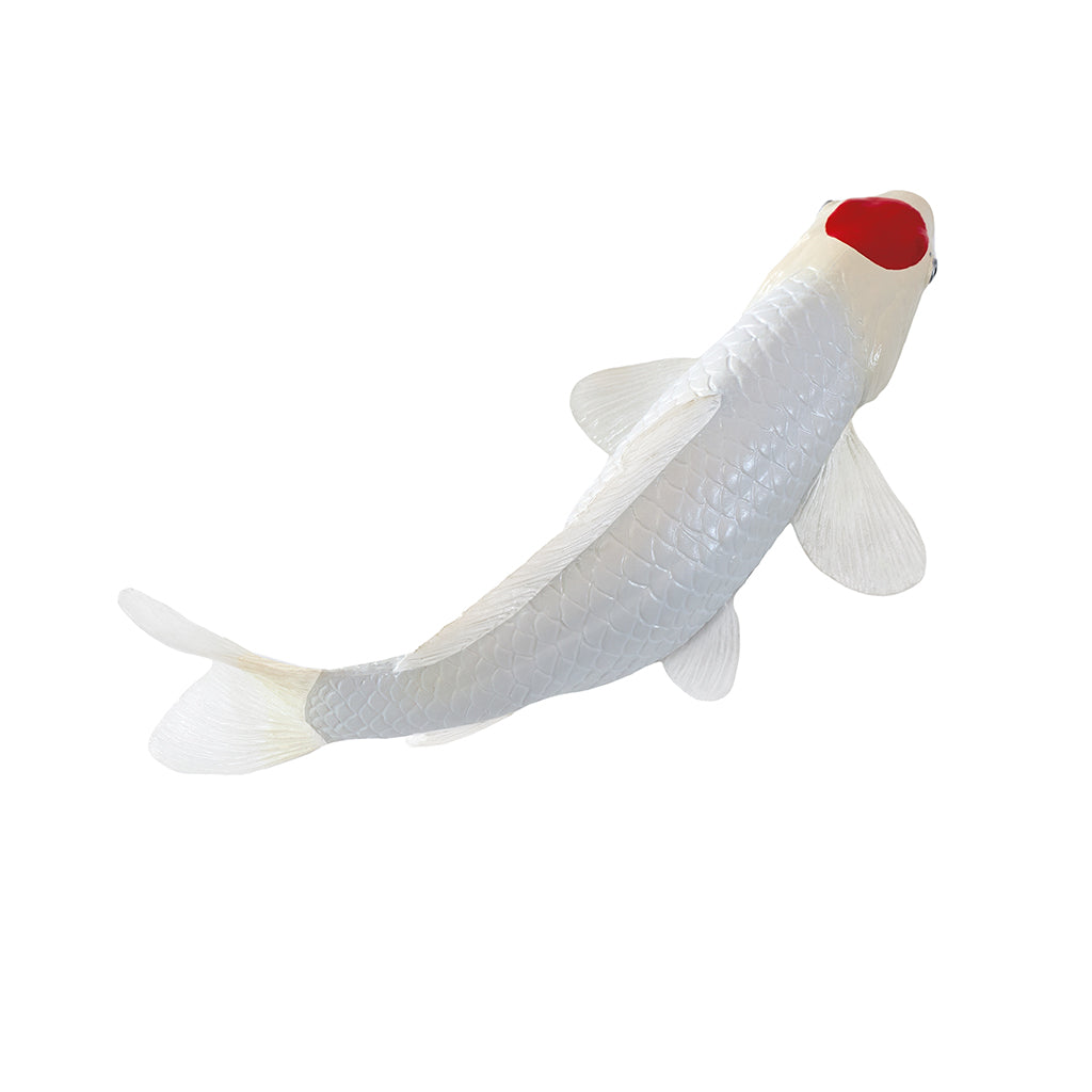 302-MOJ381101 Mojo - Tancho Koi Carp_06.jpg