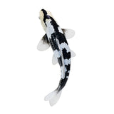 302-MOJ381102 Mojo - Shiro Utsuri Koi Carp_01.jpg