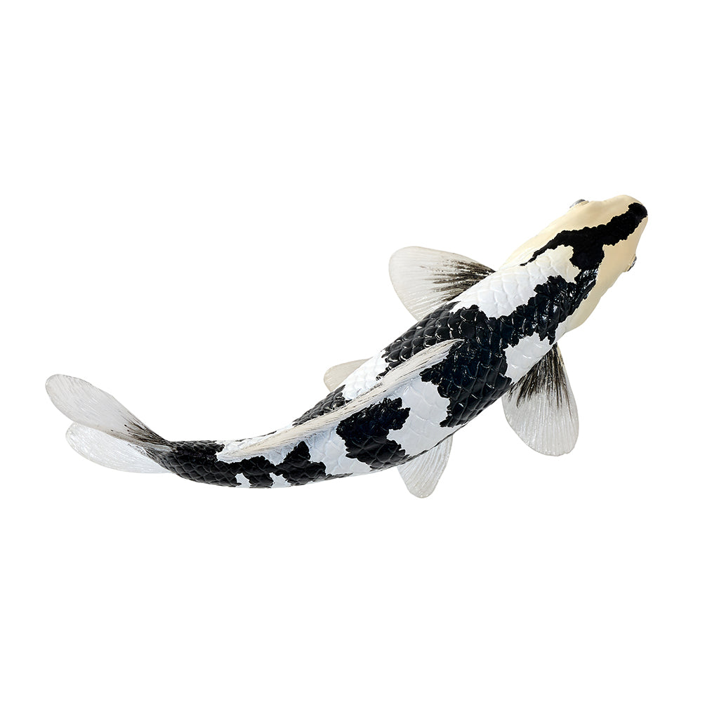 302-MOJ381102 Mojo - Shiro Utsuri Koi Carp_02.jpg