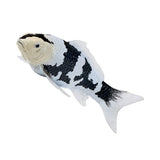 302-MOJ381102 Mojo - Shiro Utsuri Koi Carp_04.jpg