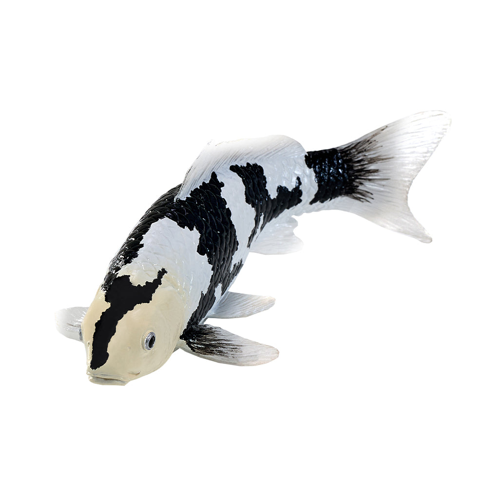 302-MOJ381102 Mojo - Shiro Utsuri Koi Carp_05.jpg