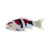 302-MOJ381103 Mojo - Showa Sanshoku Koi Carp_04.jpg