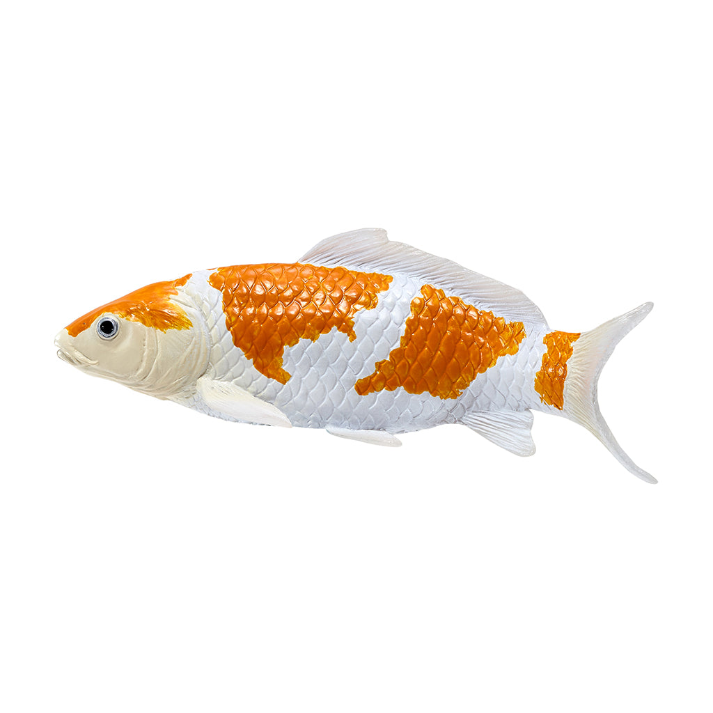 302-MOJ381104 Mojo - Ochiba Shigure Koi Carp_01.jpg
