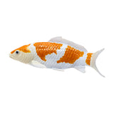 302-MOJ381104 Mojo - Ochiba Shigure Koi Carp_01.jpg