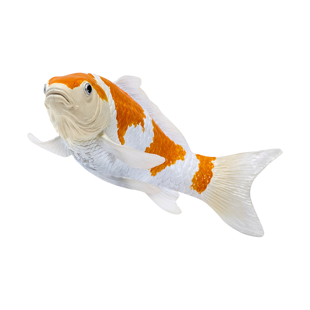 302-MOJ381104 Mojo - Ochiba Shigure Koi Carp_02.jpg