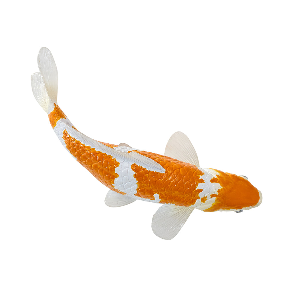 302-MOJ381104 Mojo - Ochiba Shigure Koi Carp_07.jpg