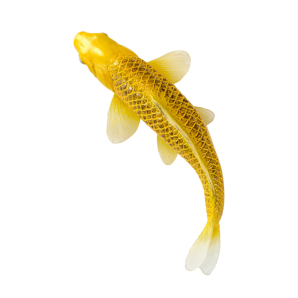 302-MOJ381105 Mojo - Kin Matsuba Koi Carp_05.jpg