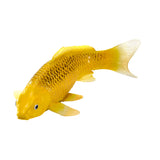 302-MOJ381105 Mojo - Kin Matsuba Koi Carp_06.jpg