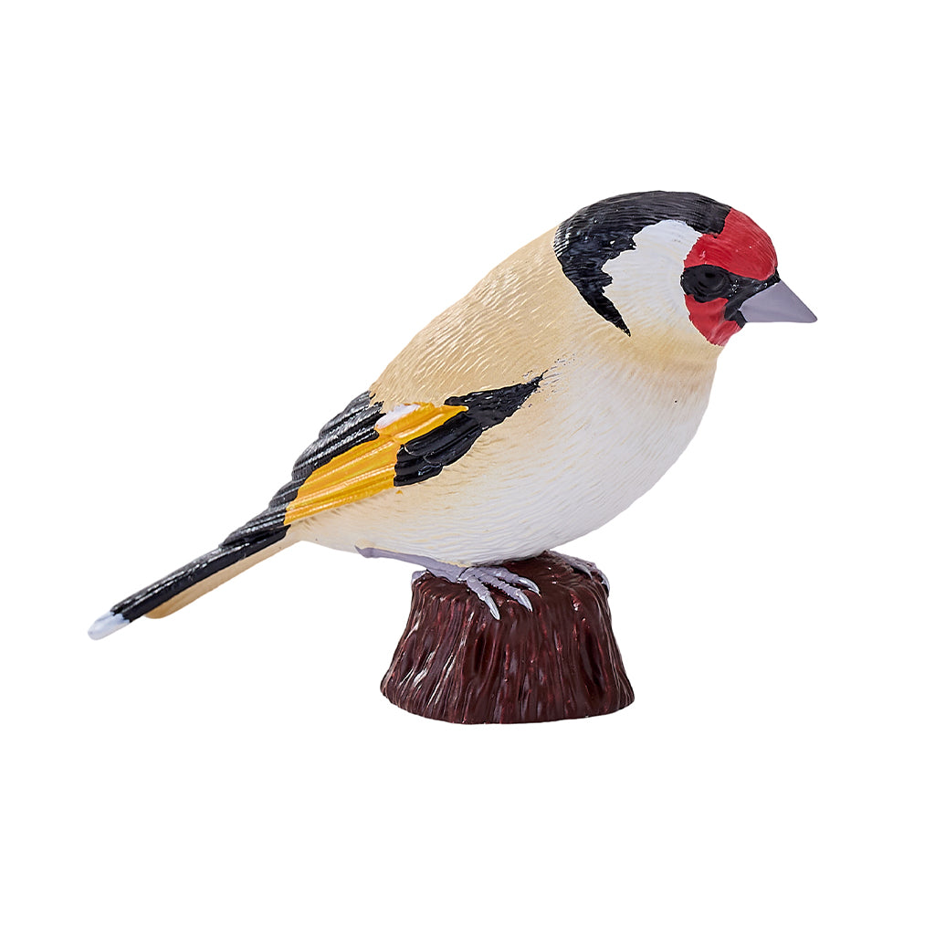 302-MOJ381110 Mojo - European Goldfinch_03.jpg