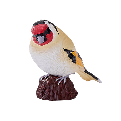 302-MOJ381110 Mojo - European Goldfinch_04.jpg