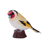 302-MOJ381110 Mojo - European Goldfinch_05.jpg