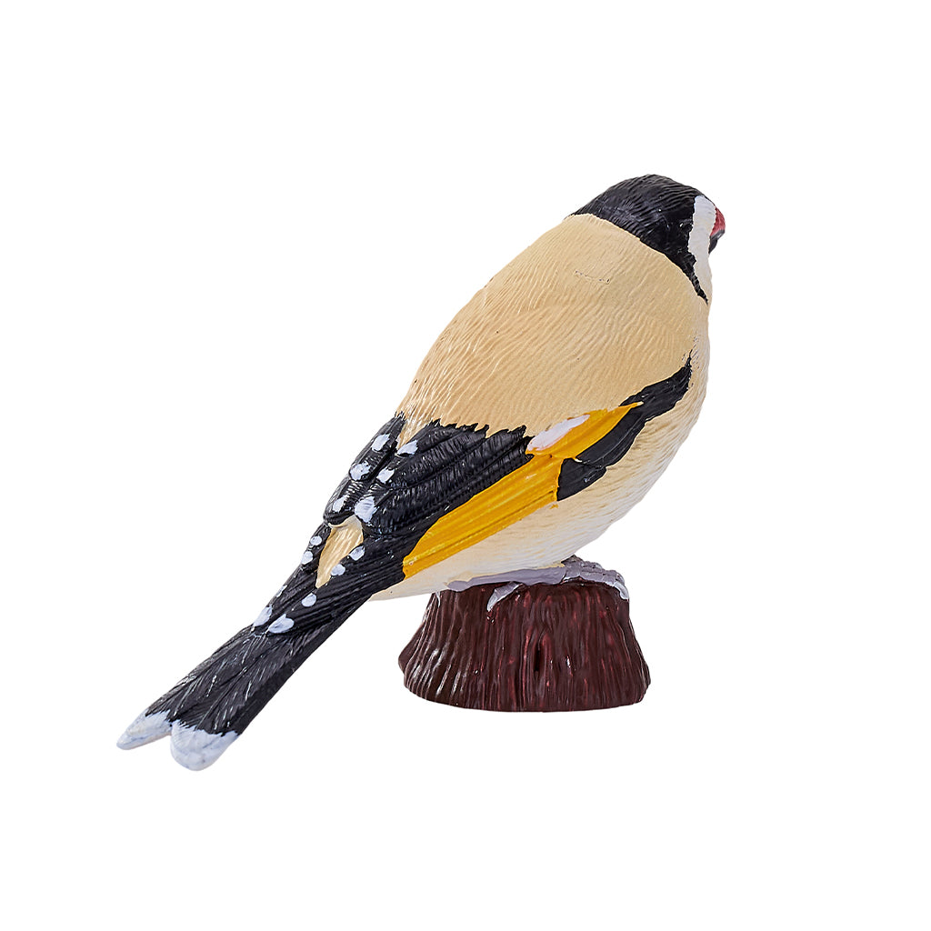 302-MOJ381110 Mojo - European Goldfinch_06.jpg