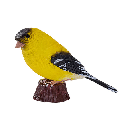 302-MOJ381111 Mojo - American Goldlfinch_01.jpg