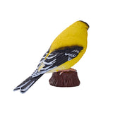 302-MOJ381111 Mojo - American Goldlfinch_02.jpg