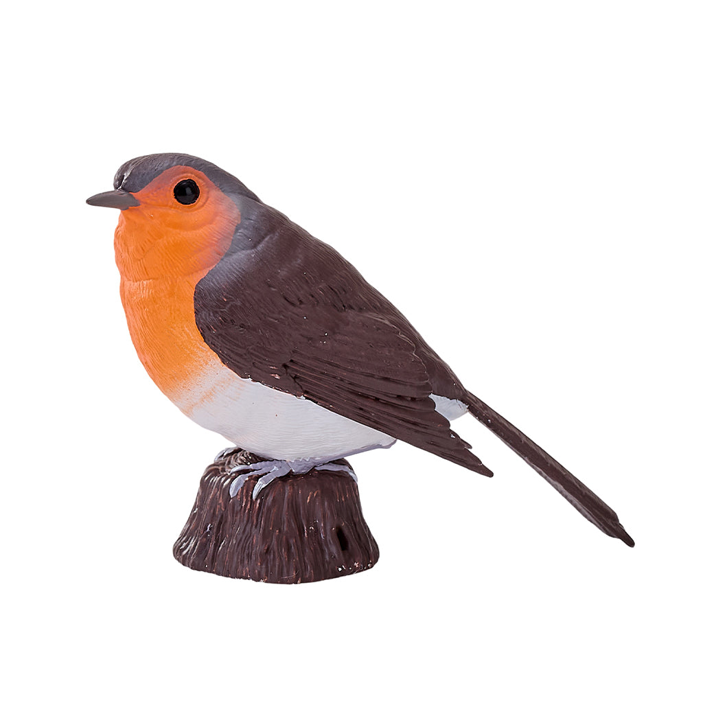 302-MOJ381112 Mojo - Robin_01.jpg