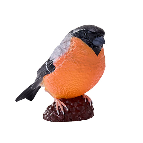 302-MOJ381113 Mojo - Bullfinch_01.jpg