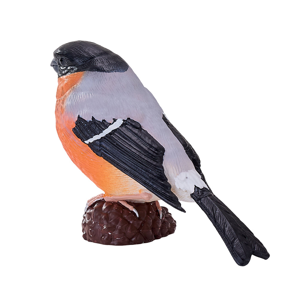 302-MOJ381113 Mojo - Bullfinch_02.jpg