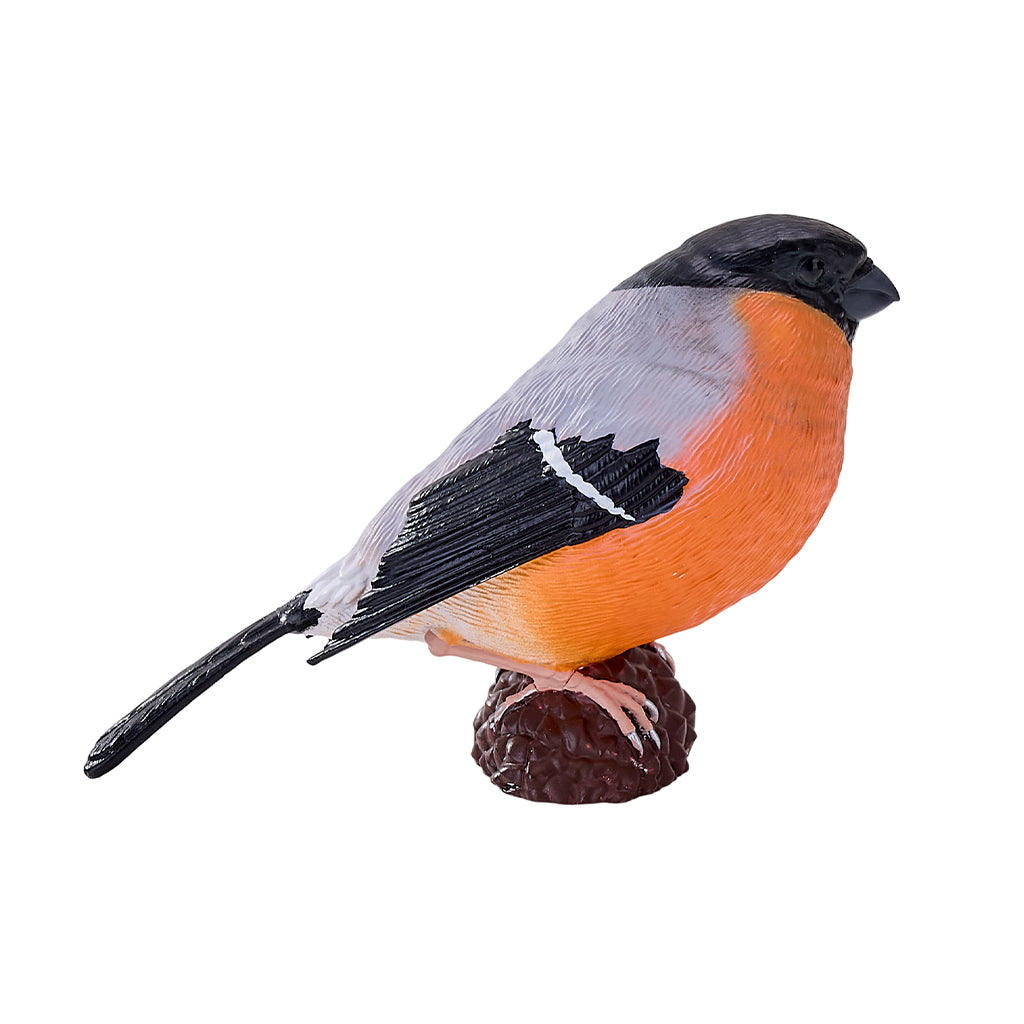 302-MOJ381113 Mojo - Bullfinch_03.jpg