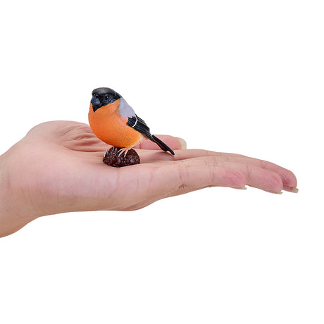 302-MOJ381113 Mojo - Bullfinch_04.jpg