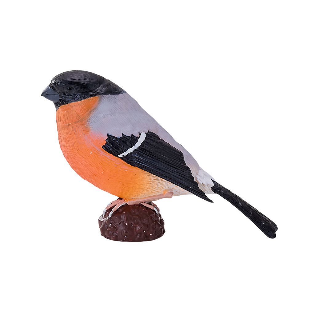 302-MOJ381113 Mojo - Bullfinch_05.jpg