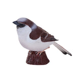 302-MOJ381114 Mojo - House Sparrow_02.jpg